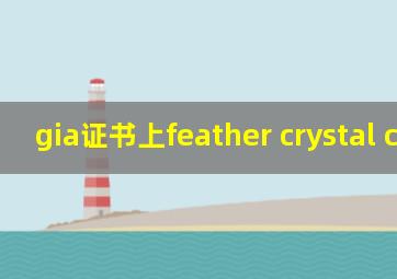 gia证书上feather crystal cloud